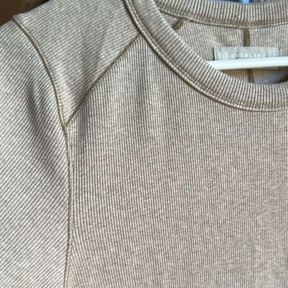 Everlane Ribbed Sweater Mini Dress Size/L  Long Sleeve Organic Cotton